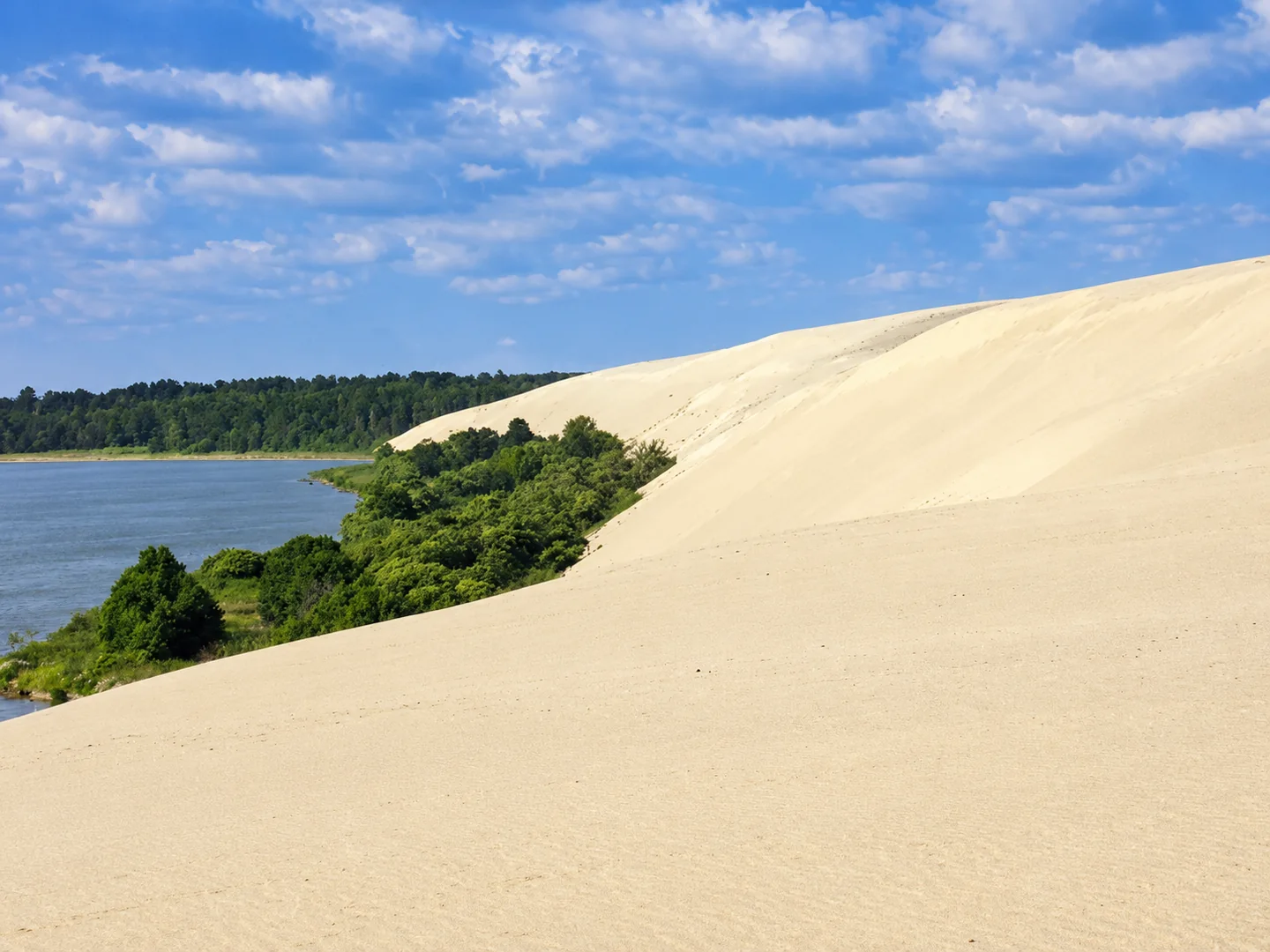 Helle Sanddünen, Wald und Haff auf der Kurischen Nehrung